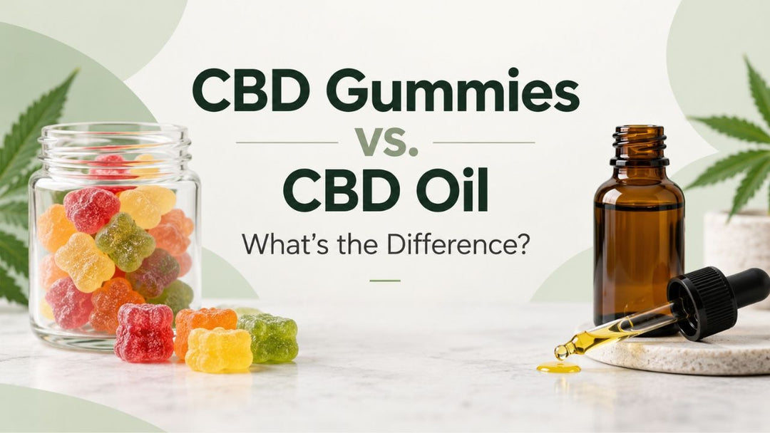 CBD Gummies vs. CBD Oil