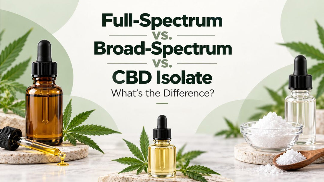 Full-Spectrum vs. Broad-Spectrum vs. CBD Isolate