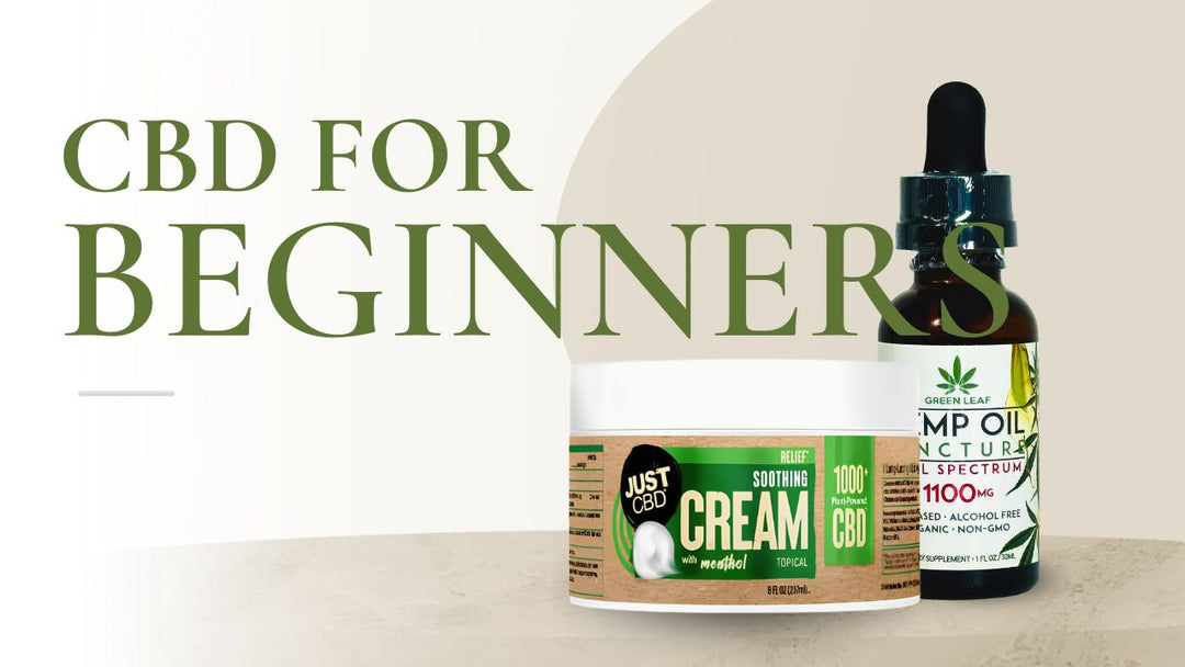 CBD for Beginners